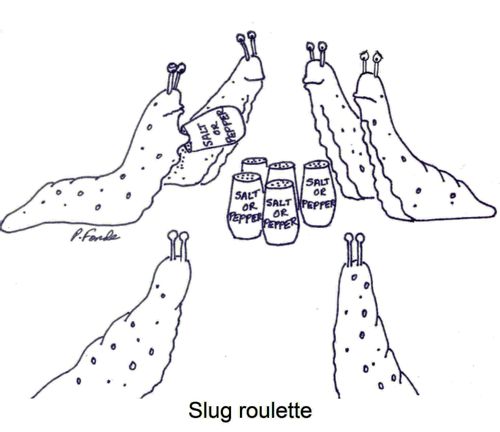 Slug roulette