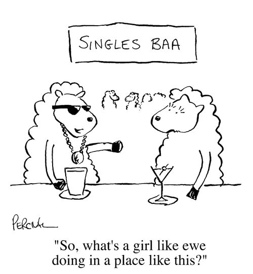 Singles Baa - "So, what's a girl like ewe doing in a place like this?"
