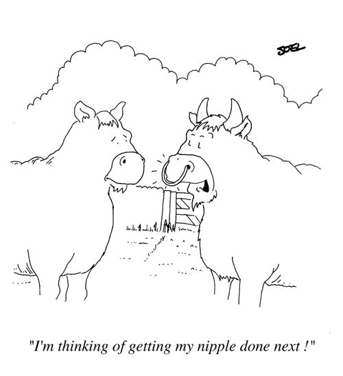 "I'm thinking of getting my Nipple done next"
