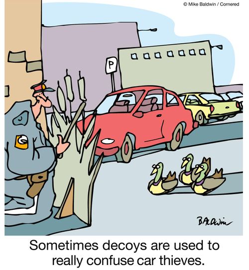 Sometimes decoys are used to really confuse car thieves.
