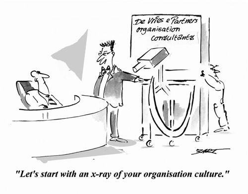 'Let's start with an x-ray of your organisation culture.'