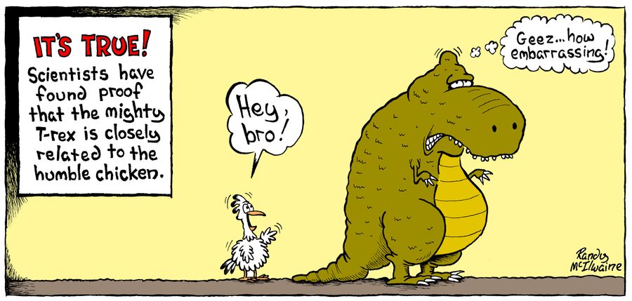 Scientists have found proof that the mighty T-rex is related to the humble chicken.