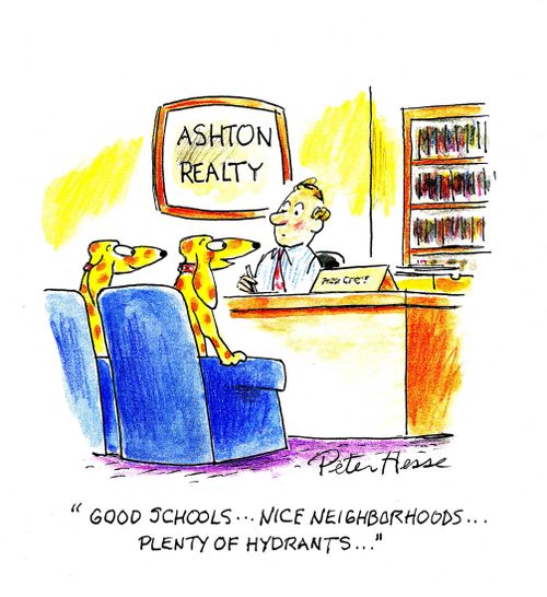 'Good schools...nice neighborhoods...plenty of hydrants.'