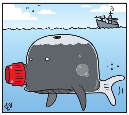 Japanese Whaling