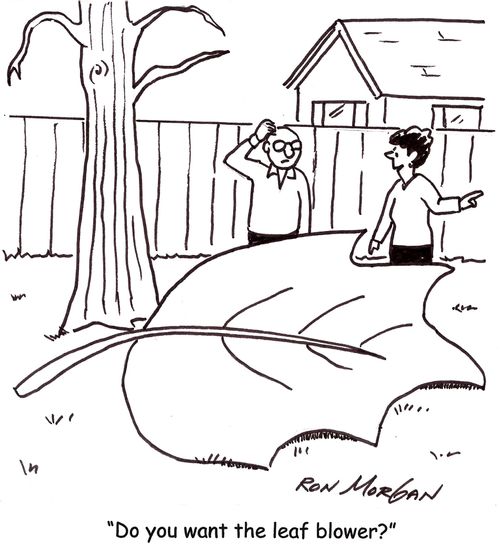 'Do you want the leaf blower?'