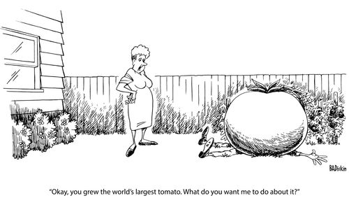 "Okay, you grew the world's largest tomato. What do you want me to do about it?"