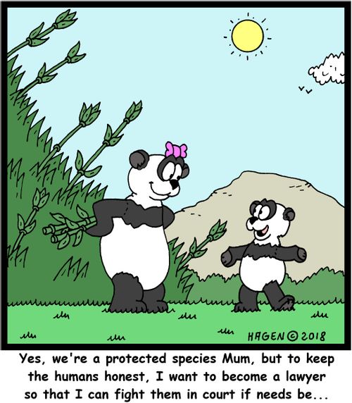 "Yes, we're a protected species Mum, but to keep the humans honest, I want to become a lawyer so that I can fight them in court if needs be..."