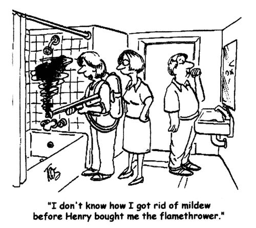 'I don't know how I got rid of mildew before Henry got me the flamethrower.'