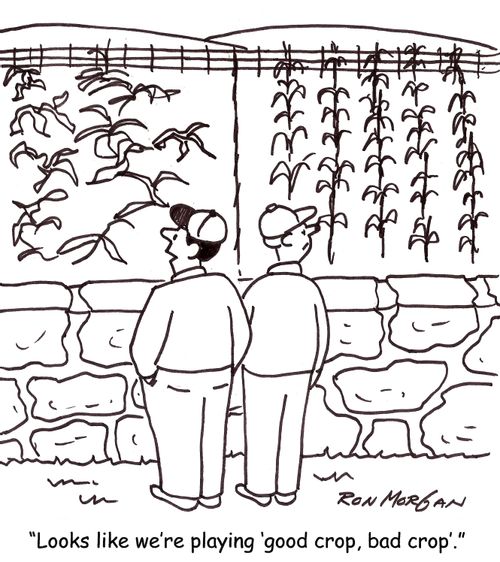 'Looks like we're playing 'good crop, bad crop'.'