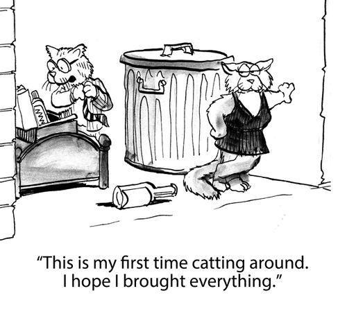 'This is my first time catting around.  I hope I brought everything.'