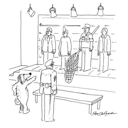 Dog Points Out Dog-Catcher in lineup.