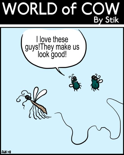 I love these guys! They make us look good!