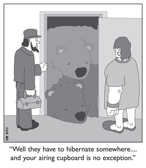 "Well, they have to hibernate somewhere...and your airing cupboard is no exception."