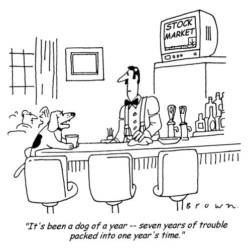 "It's been a dog of a year - seven years of trouble packed into one year's time."