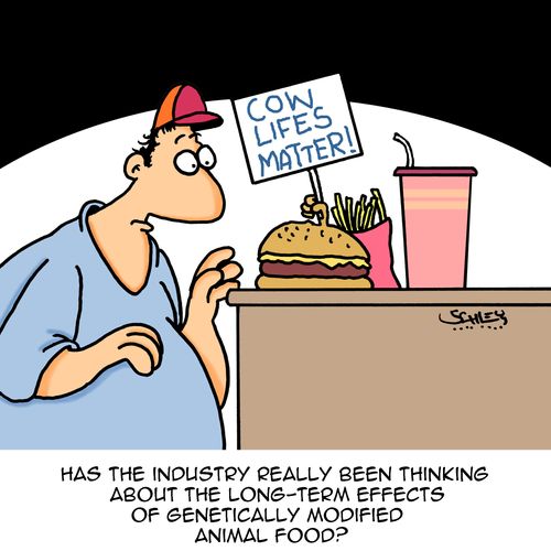 Has the industry really been thinking about the long-term effects of genetically modified animal food?
