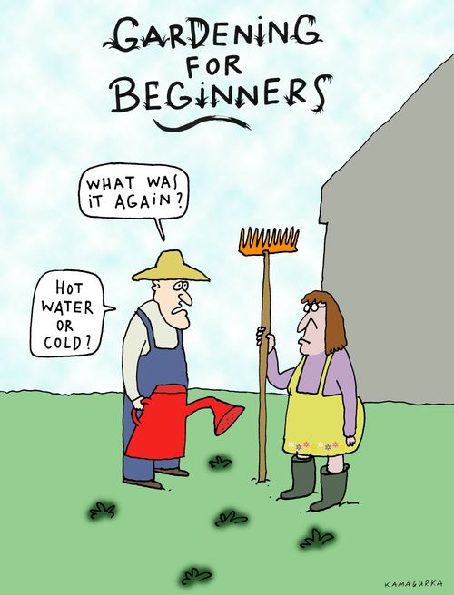 Gardening for Beginners - 'Hot water or cold?'