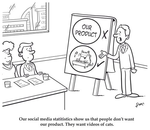 "Our social media statistics show us that people don't want our product. The want videos of cats."