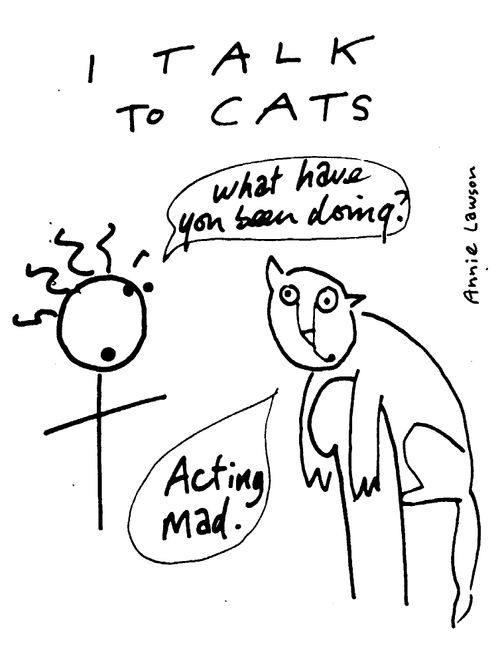 I talk to cats - "What have you been doing?" "Acting Mad."