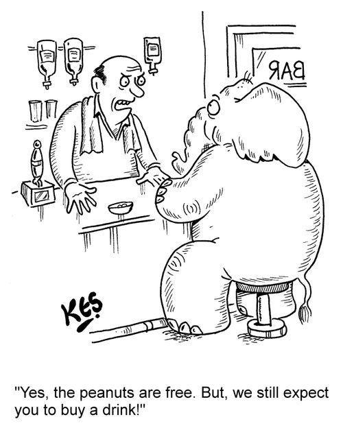 'Yes, the peanuts are free. But, we still expect you to buy a drink!'