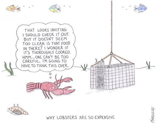 Why lobsters are so expensive