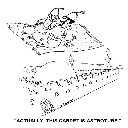 'Actually, this carpet is astroturf.'