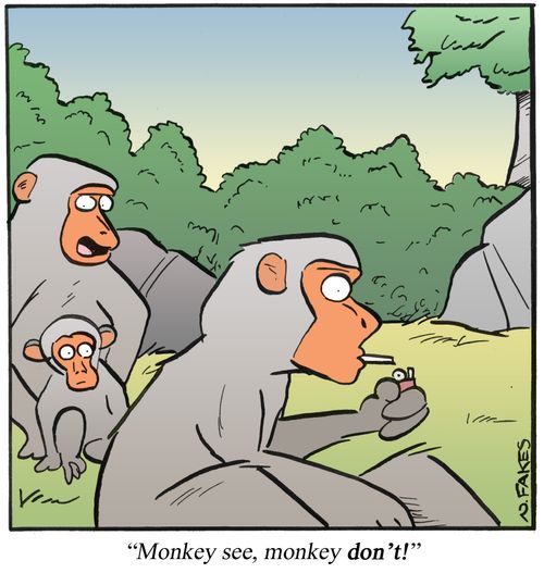 'Monkey see, monkey don't!'