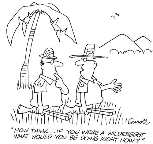 "Now think...If you were a wildebeest what would you be doing right now?"