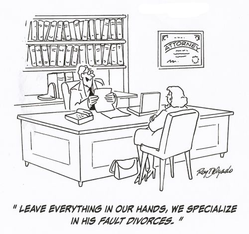 'Leave everything in our hands, we specialize in his fault divorces.'