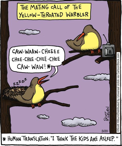 The mating call of the Yellow-Throated Warbler,