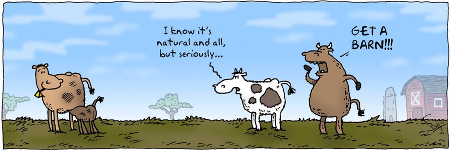 'I know its natural and all but seriously...Get a Barn!'