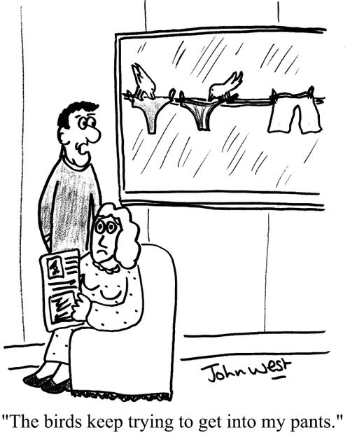 "The birds keep trying to get into my pants."