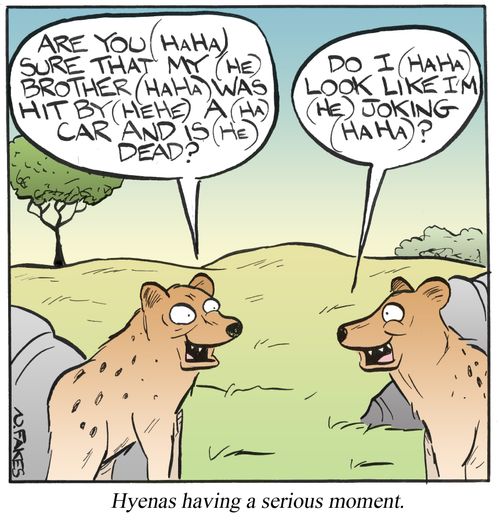 Hyenas having a serious moment.