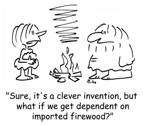 'Sure, it's a clever invention, but what if we get dependent on imported firewood?'