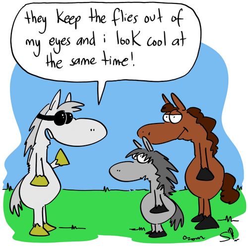 'They keep the flies out of my eyes and I look cool at the same time!'