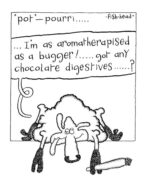 'Pot' - pouri "I'm as aromatherapised as a bugger.."