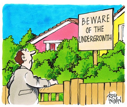 Beware of the Undergrowth.