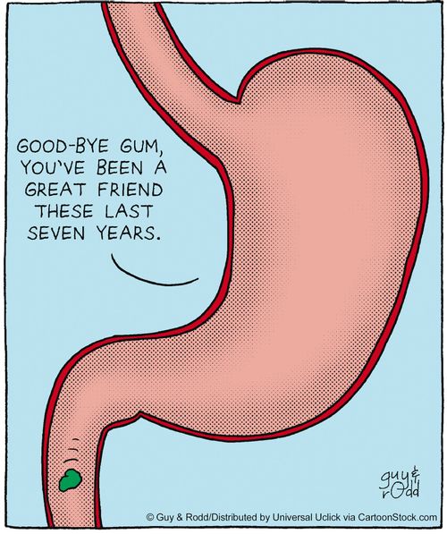 'Good-bye gum, you've been a great friend these last seven years.'