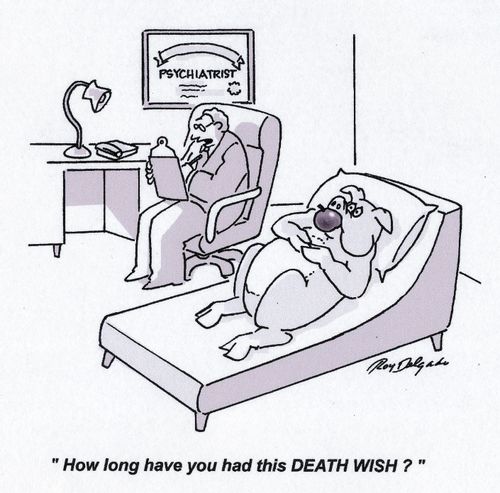 'How long have you had this death wish?'