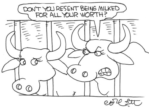 "Don't you resent being milked for all your worth?"