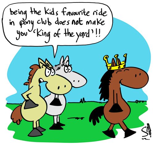 'Being the kids favourite ride in pony club does not make you 'king of the yard'!'