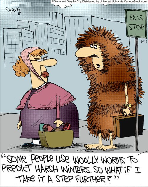 'Some people use woolly worms to predict harsh winters. So what if I take it a step further?'