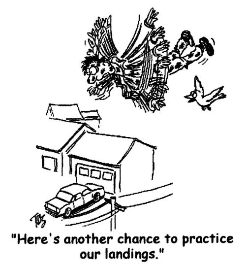 'Here's another chance to practice our landings.'