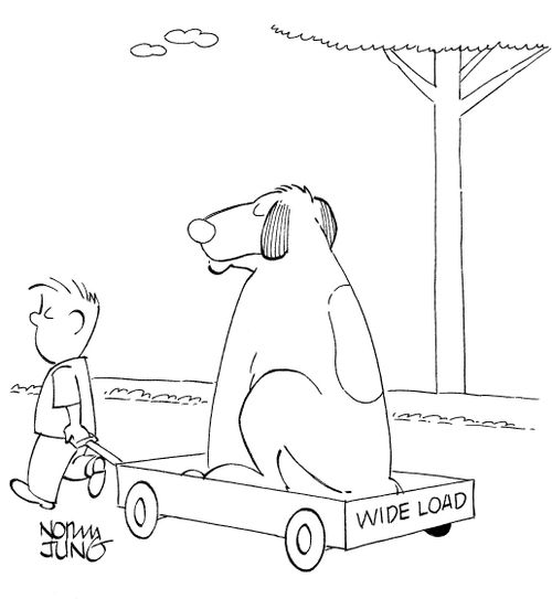 Kid tows his large dog in wagon with 'wide load' sign.