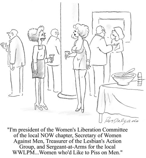 'I'm the president of the Women's Liberation Committee of the local NOW chapter...'