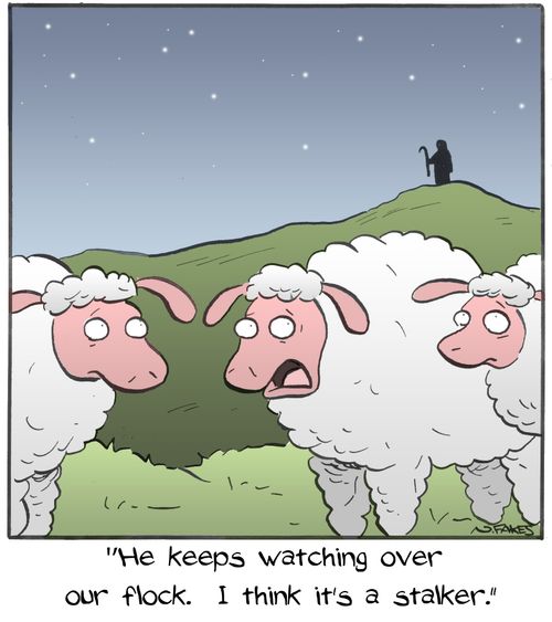 "He keeps watching over our flock. I think it's a stalker."
