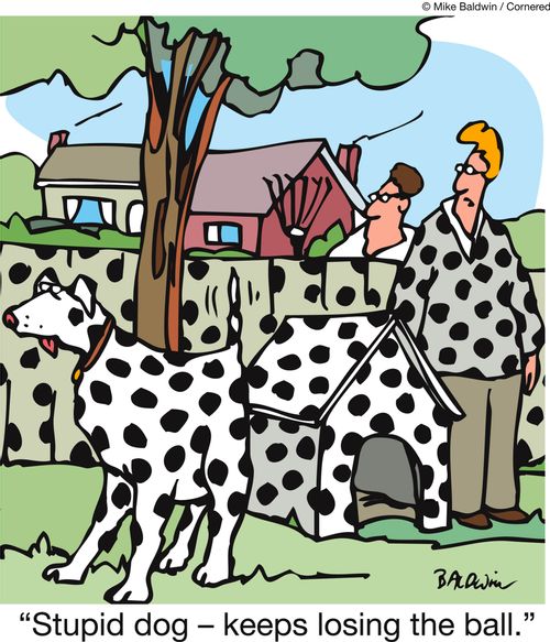 'Stupid dog - keeps losing the ball.'