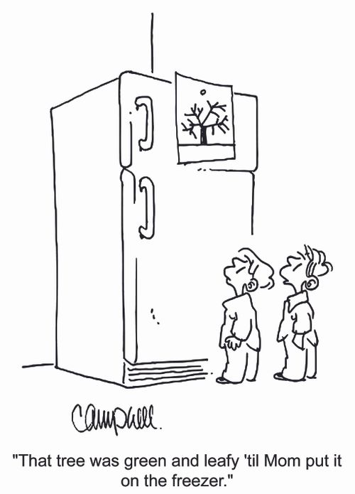 'That tree was green and leafy 'til Mom put it on the freezer.'