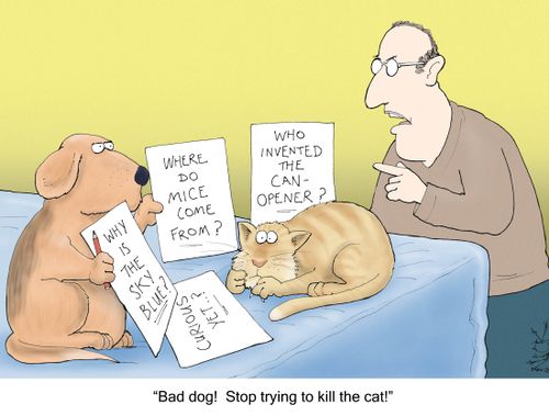 'Bad dog! Stop trying to kill the cat!'