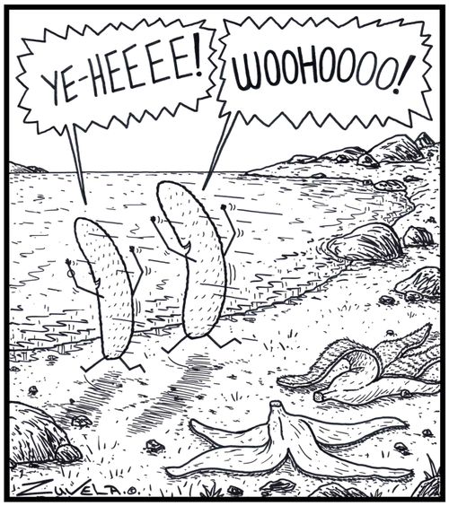A Female and Male Banana going for a Skinny-dip into the ocean.