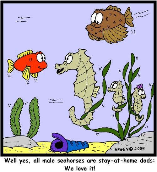 'Well yes, all male seahorses are stay-at-home dads: We love it!'